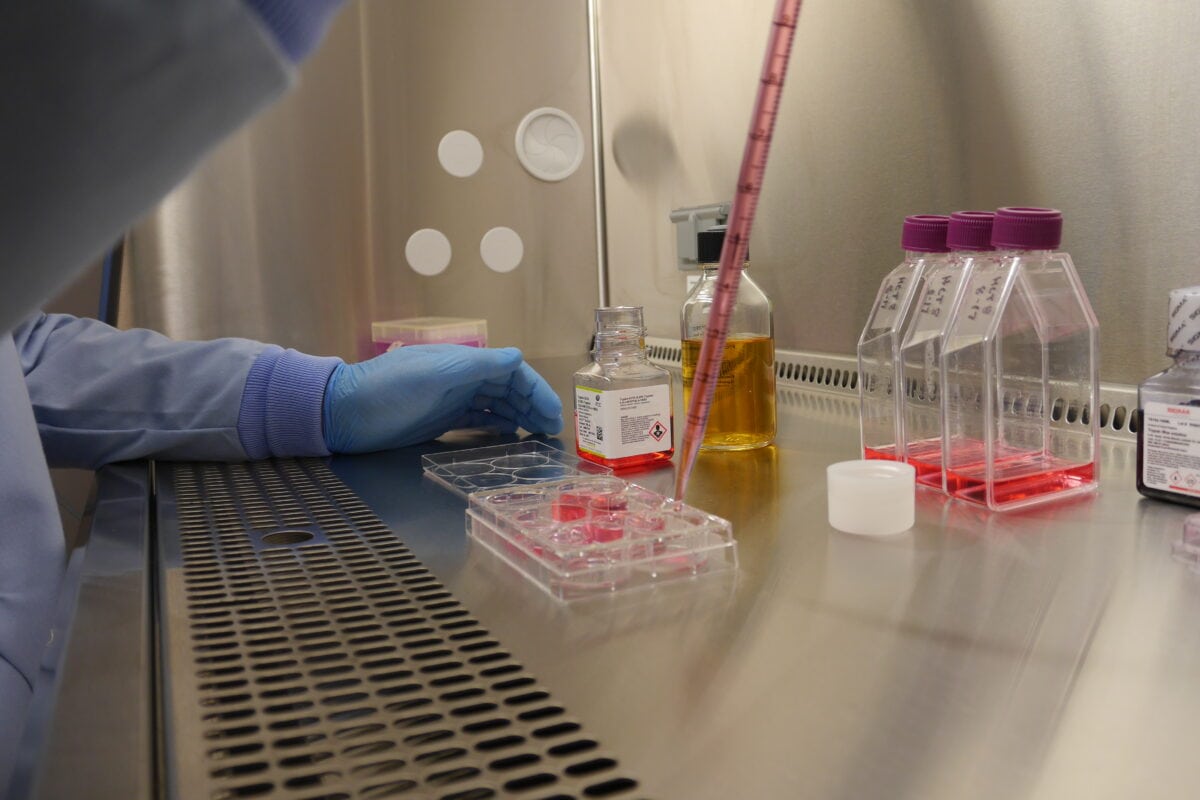 IPA Laboratories | Independent Laboratory Testing Services